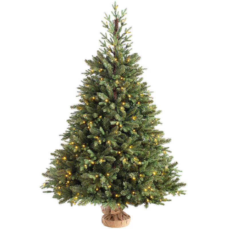 Norway Christmas Tree, 6ft.