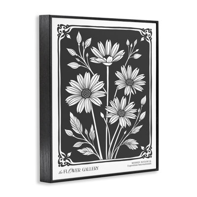 «Daisies with Vintage Border», art de la giclée encadrée, design par lettré et doublé
