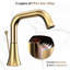 Widespread 2-handle Bathroom Faucet with Drain Assembly