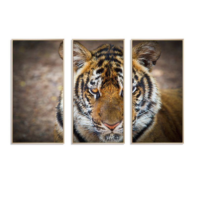 Portrait d'un tigre sauvage - ensemble d'art mural sur toile encadré traditionnel de 3, H 28 po x l 36 po, Brun