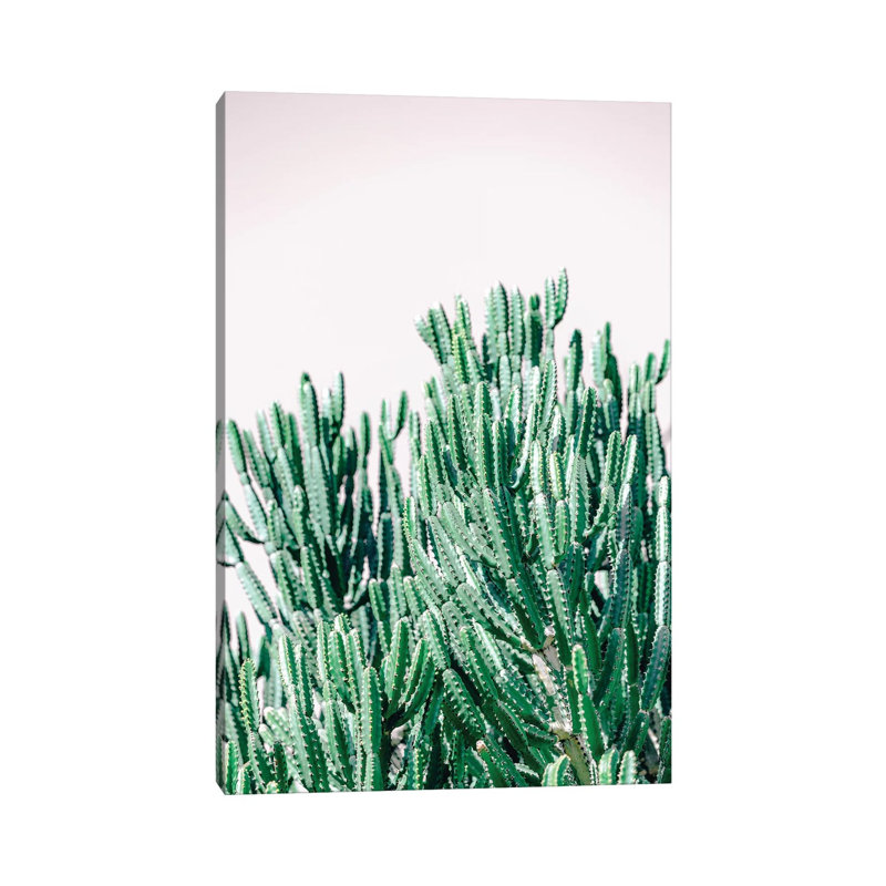 Desert Garden II by Ann Hudec - Wrapped Canvas Print, 66.04 cm H x 45.72 cm W x 1.91 cm D