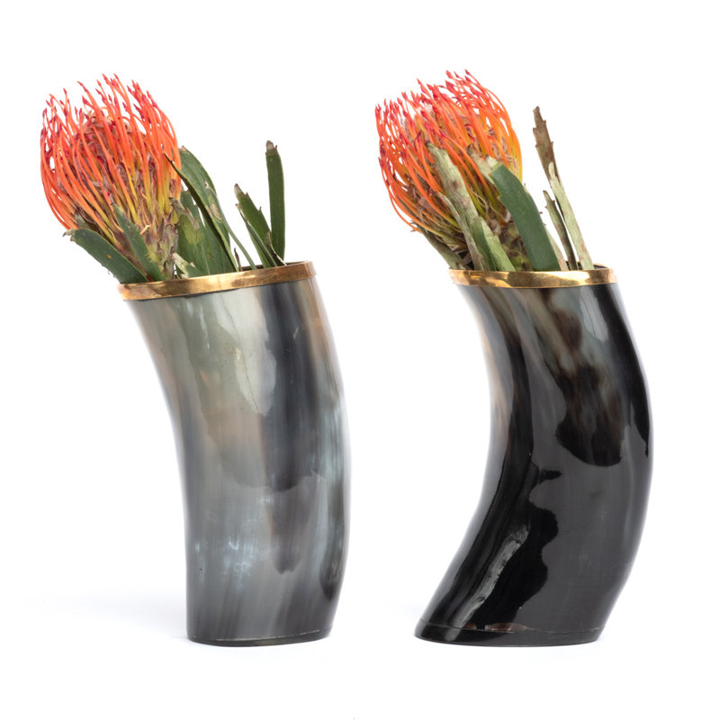 6" Ankole-Watusi Cow Horn Vase