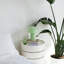 Glass Mushroom Table Lamp, Petite Close Top Jade Stripes-1474287206-1474287205