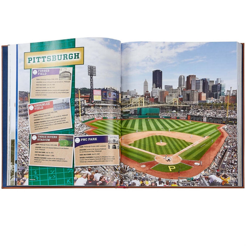 Graphic Image Ballparks Past And Present Coffee Table Book, Leather, Tan