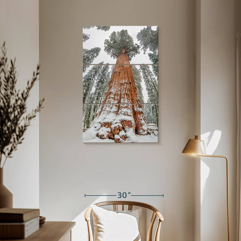 Harnek Wintry Sequoia Tree, 57'' H x 36'' W