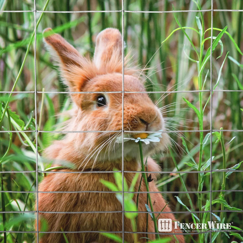 Fencer Wire 16 Gauge Galvanized Welded Wire Rabbit Guard Fence, Multiple Sizes, 3.3 ft. x 50 ft.