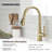 OAKLAND Single Handle Pull Down Kitchen Faucet-101054520