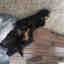 Customer photo 2 of 2