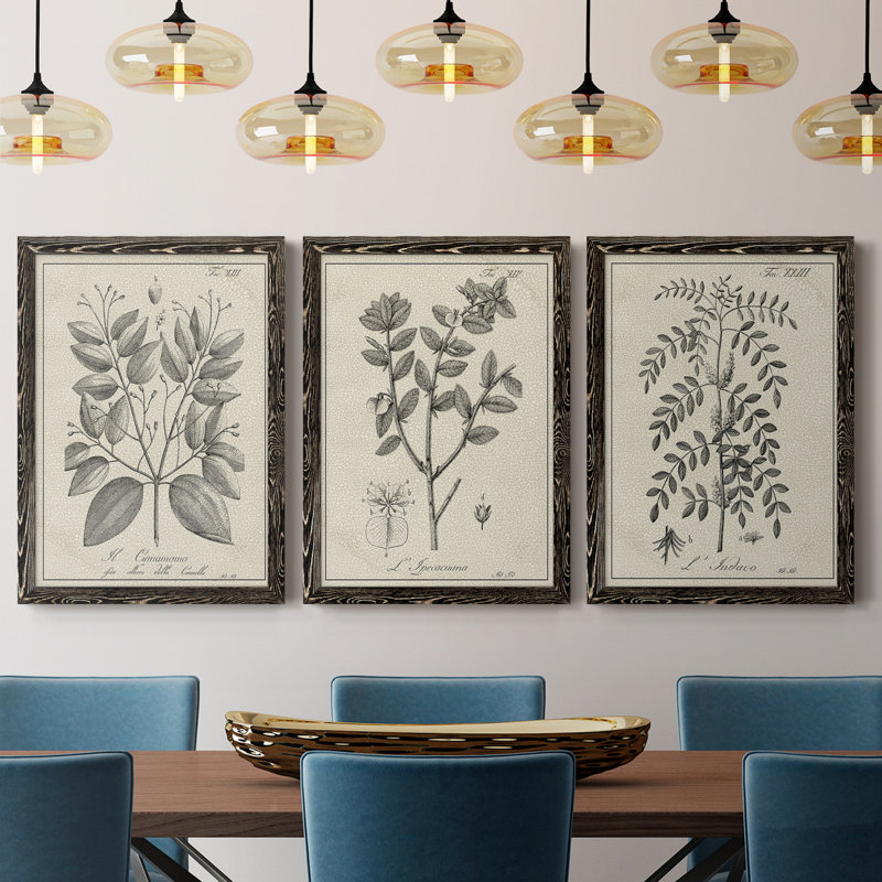 " Antique Black And White Botanical VII " 3 - Pieces, Black, 31.5" H x 70.5" W