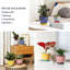 Pots de jardin pour plantes grasses, orchidée, décoration intérieure, ensemble de 4
