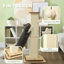 Cat Tree / Condo-1198480049