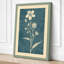 Delicate Blooms Botanical - Wrapped Canvas-1798917924-1798917951