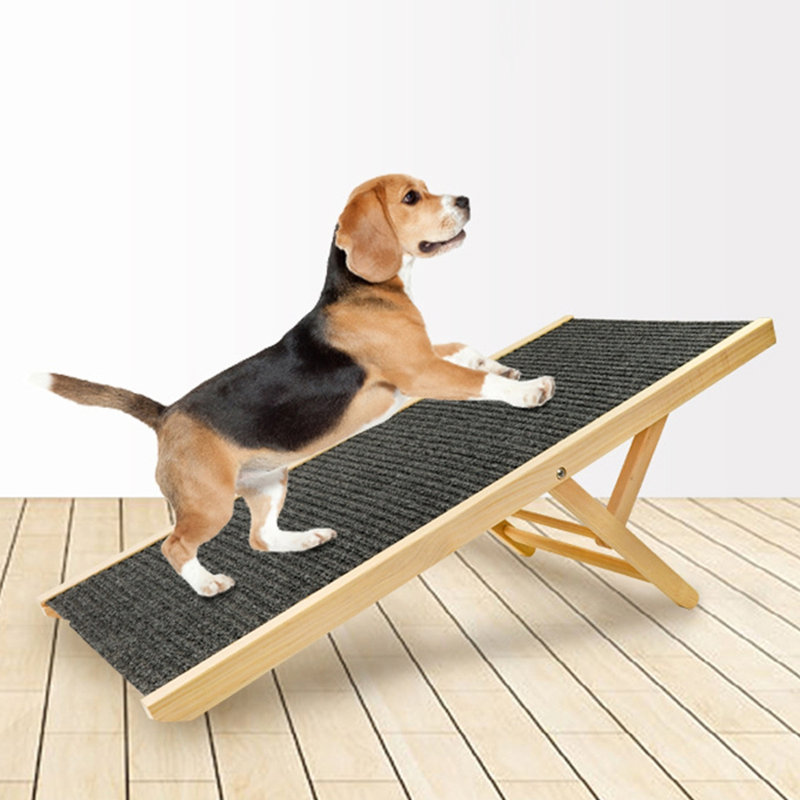 Pet Ramp