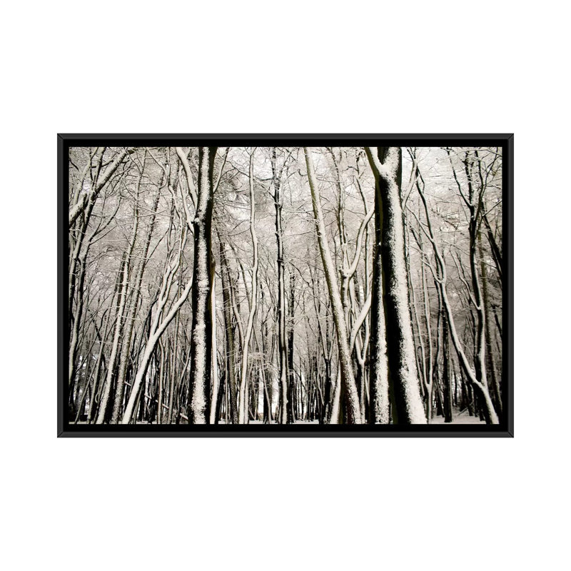 Neige couverte d'arbres, reproduction sur toile tendue, H 18 po x l 26 po x P 1,5 po, Toile avec cadre noir, Pas de tapis