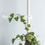 Keeve Plant Stand
