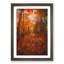 Autumn Forest Pathway In Abstract - Single Picture Frame Painting-55456920-55456919