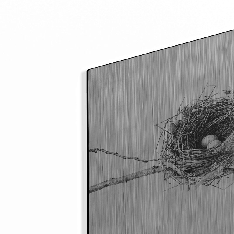 «Nest and Branch I» par Debra Van Swearingen, H 24 po x l 36 po