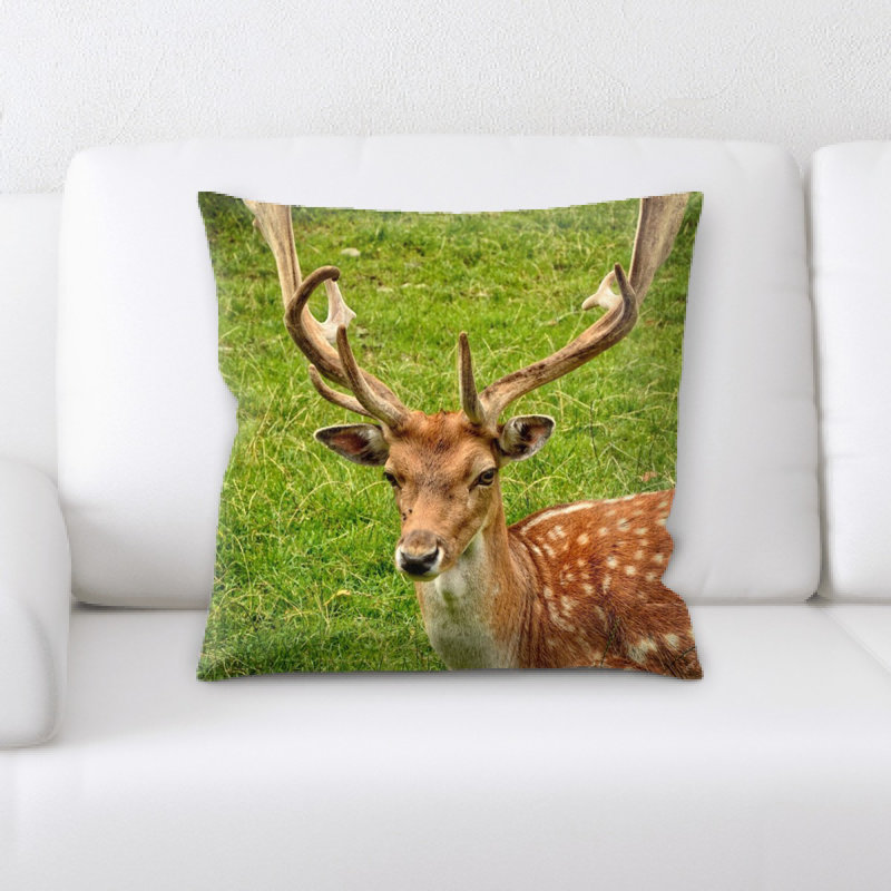 Coussin antler