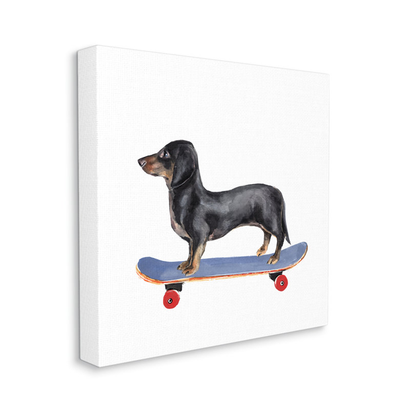 Chien teckel sur planche à roulettes bleue, Toile tendue, H 36 po x l 36 po x P 1,5 po