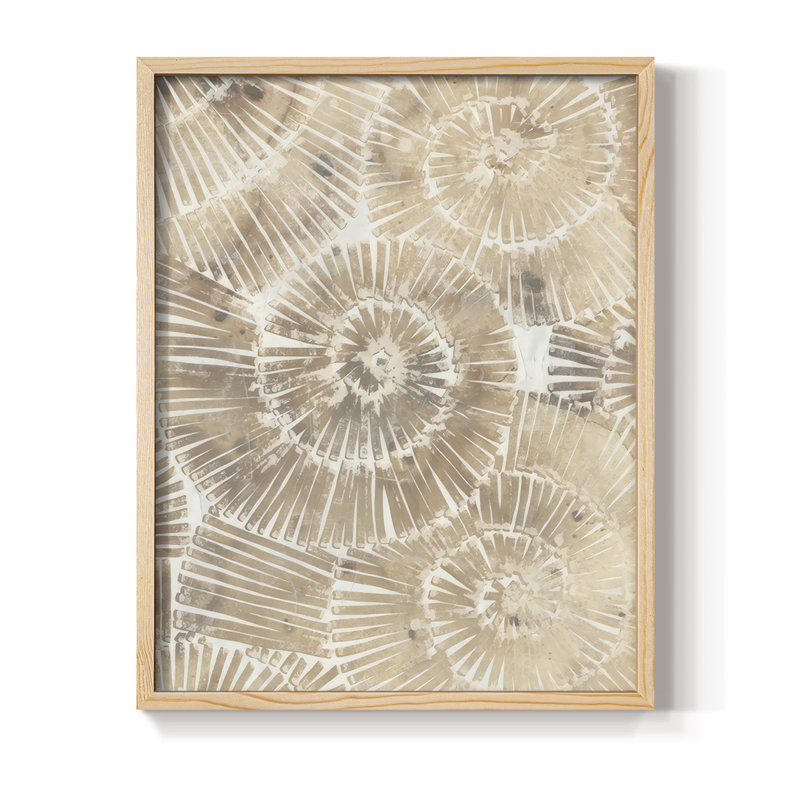 Fossil Nautilus II, reproduction encadrée - bois massif, Naturel, H 11 po x l 9 po