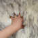 Laskett Sheepskin Indoor Rug