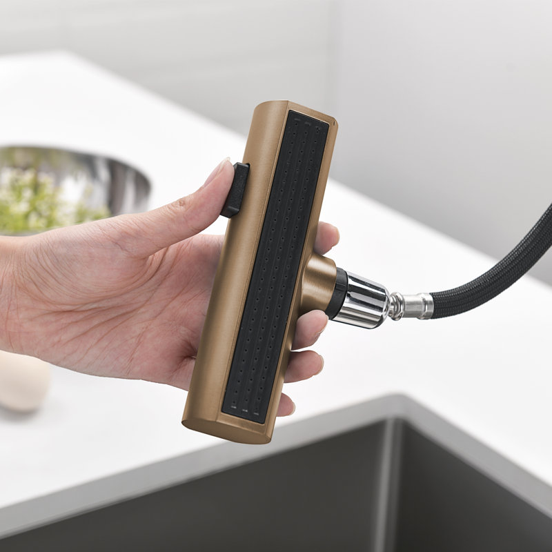 Single Handle Kitchen Faucet with Accessories, Brushed Brass