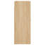 Marinna Bathroom Cabinet-1710286039