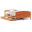 Storage Bed-961084687-961084735
