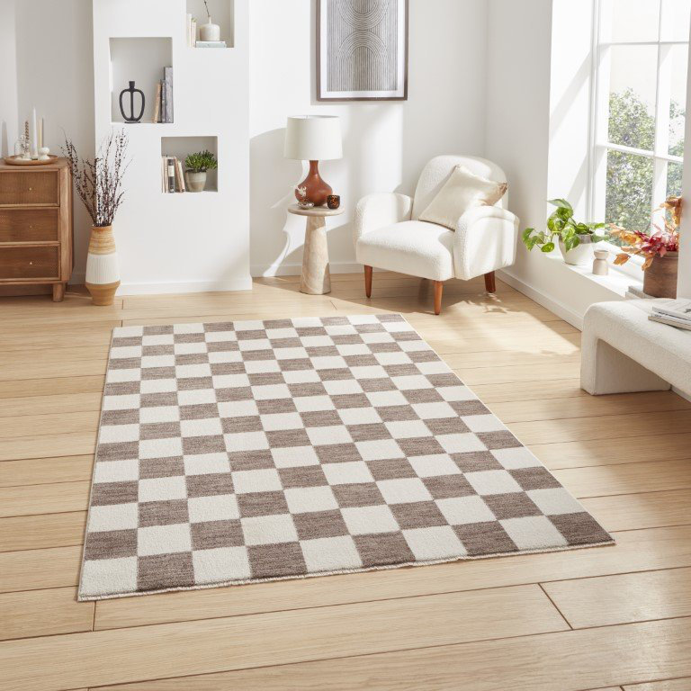 Paulean area rug Machine Woven Rectangle Grey, Rectangle 160 x 220cm
