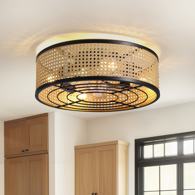  Ventilateur de plafond en cage 20 "Munho