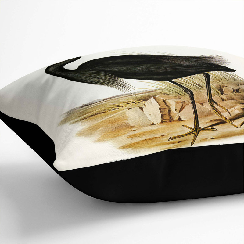 Square Throw Cushion, 40cm H x 40cm W x 15cm D, Black