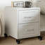 Angala 36cm W Steel Bedside Table-87684027