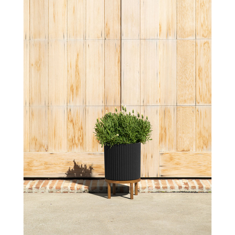 Demi Series 12" Black/Brown Planters with Acacia Wood Stand, Set of 2
