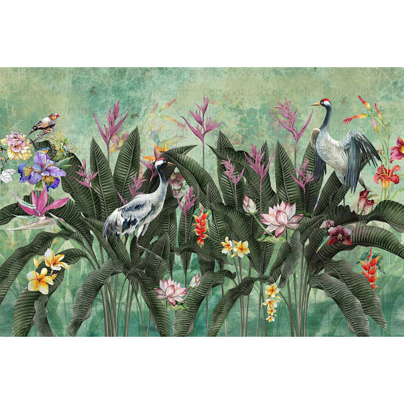 Papier peint paradis tropical, oiseaux exotiques et fleurs luxuriantes, L 110,04 po x l 163 po, Vert