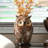 Hosley Ceramic Farmhouse Owl Vase, Ideal Gift for Floral Arrangements Weddings, House Warming, Home Office, Wonderful Accent Piece for Coffee Tables or Side Tables.