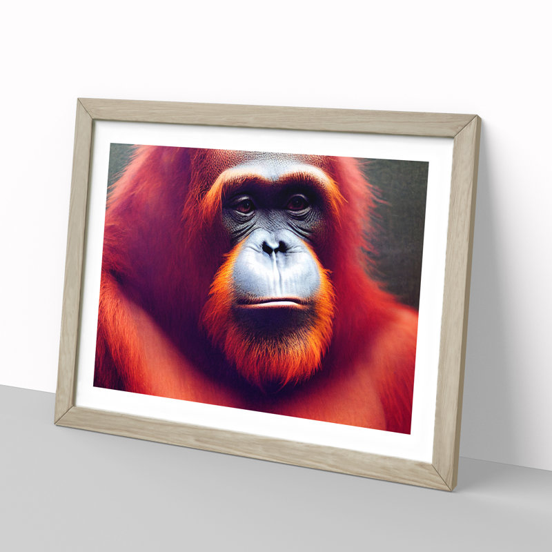 The Calming Orangutan - Framed Print, 25cm H x 34cm W x 2cm D, Oak