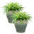 Ailynn Round Imperial Ceramic Outdoor Planter-1857609946-1857609944