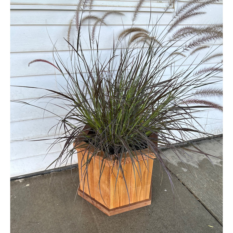 Azziah Handmade Wood Pot Planter