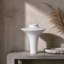Vase en céramique pour décoration intérieure-556842413