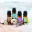 Accessoires de bougie parfumée 5,6 po