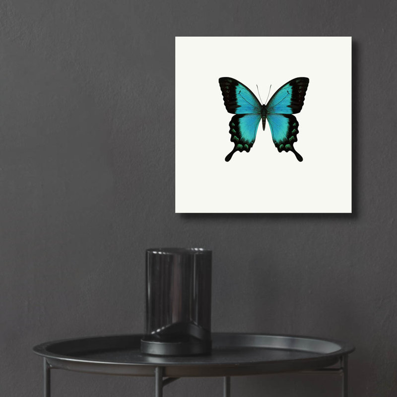 «Blue Butterfly» par PhotoINC Studio, H 12 po x l 12 po x P 0,13 po