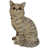Tiger Gray is out of stock selected
