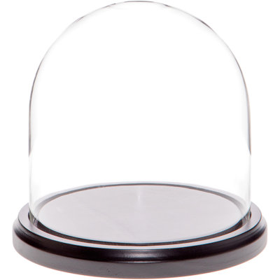Vucciria Glass Display Dome Cloche