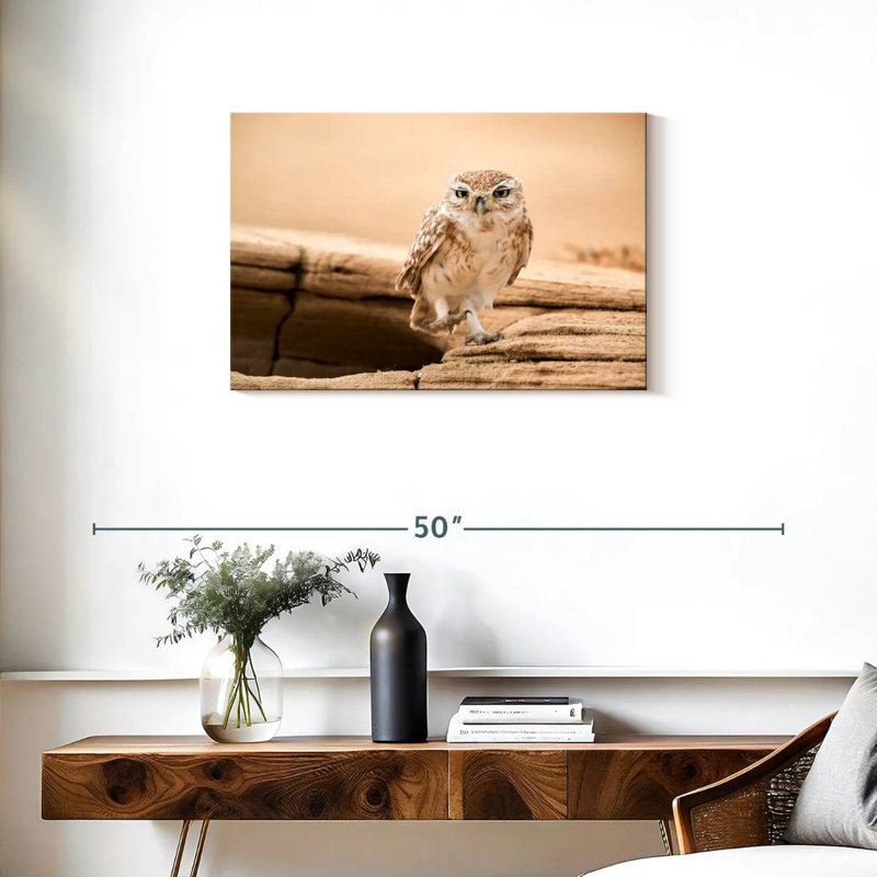 Brampt Desert Owl, 20" H x 30" W