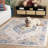 Kiosha Performance Performance Oriental Rug-1773741383