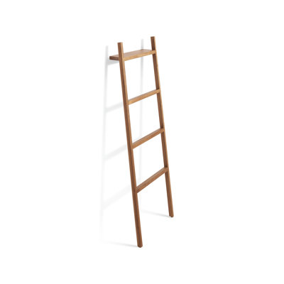 Woodsy Storage Ladder