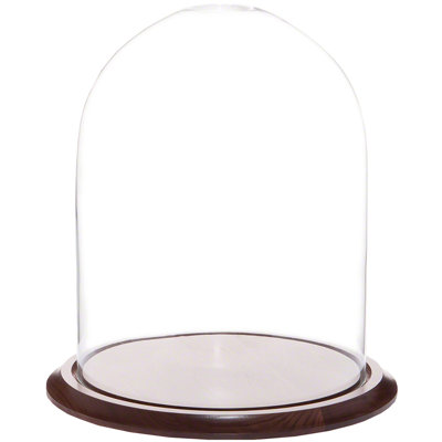 Vucciria 11.75" x 15" Glass Display Dome Cloche