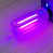 Purple est en rupture de stock