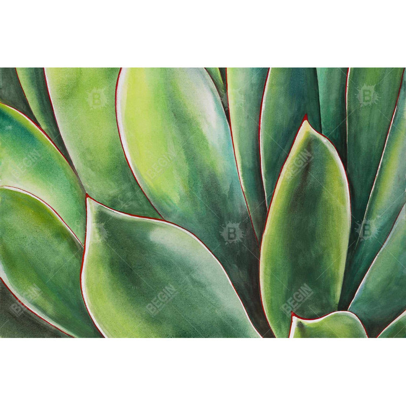 Watercolor agave plant Bath Mat with Non-Slip Backing - Quick Dry Memory Foam Bathroom Rug - Absorbent - Modern Plush Spa-Style - Machine Washable