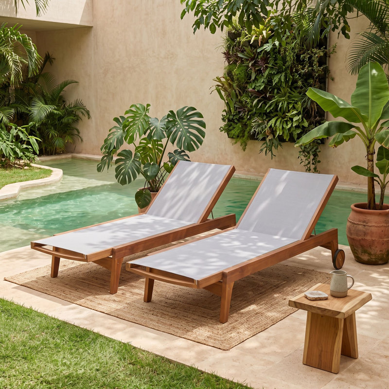 Ensemble de 2 chaises longues d'extérieur en bois, Gray